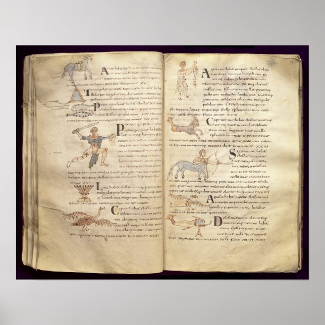 Poster Caminho da lua através das constelações (Frente)