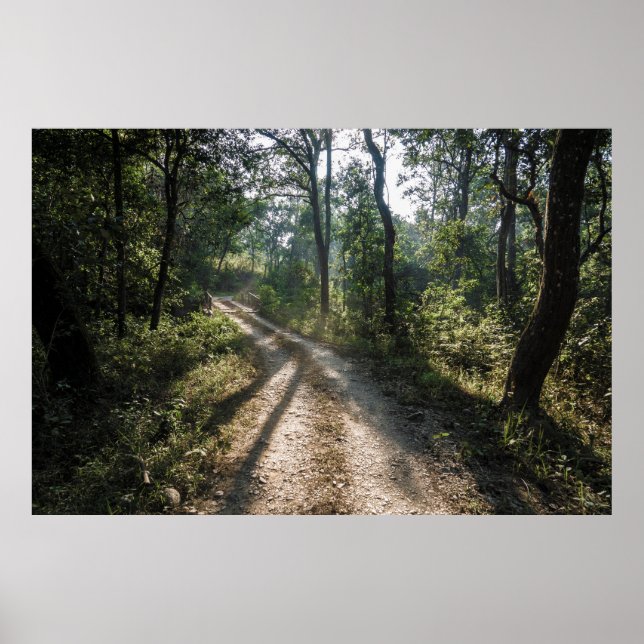 Poster Caminho da Selva de Chitwan: Trilha da Floresta Su (Frente)