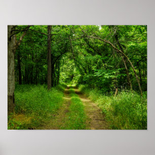 Póster Caminho de entrada