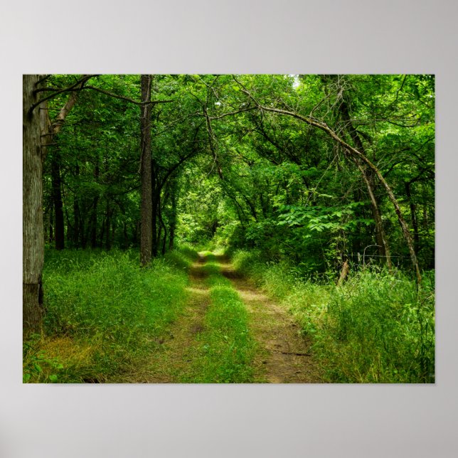 Póster Caminho de entrada (Frente)