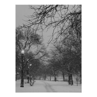 Póster Caminho de Inverno