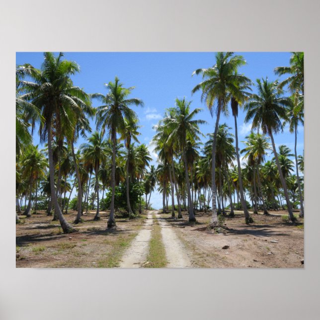 Poster Caminho de Rangiroa para o paraíso (Frente)