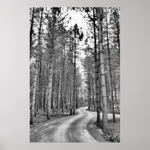 Poster Caminho de Winding