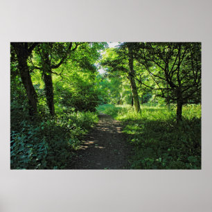 Poster Caminho de Woodland. Blackweir Woods, Cardiff, Gal