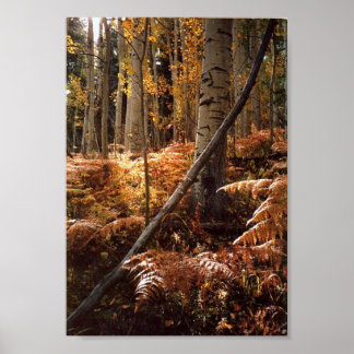 Póster Caminho do Caminho de Caminho do Creek dos Verdes