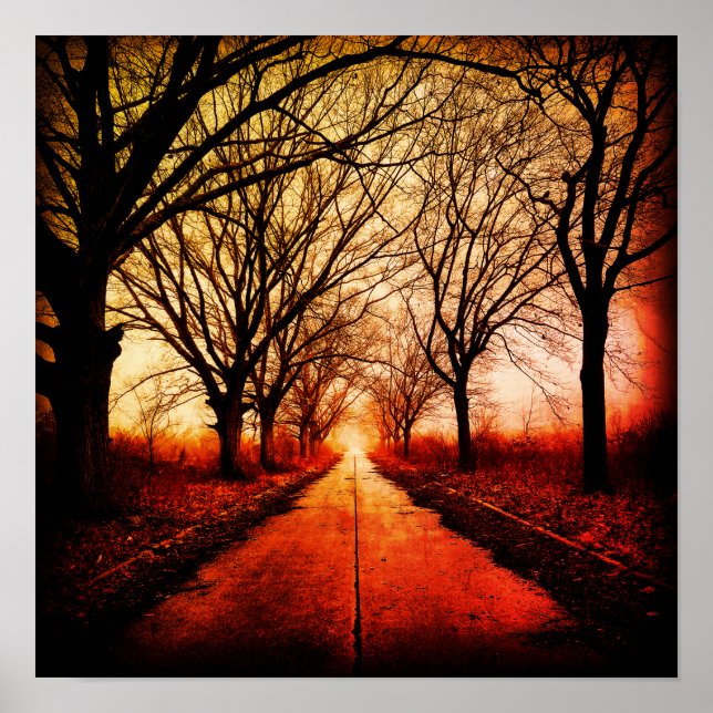 Poster Caminho em árvore (Frente)