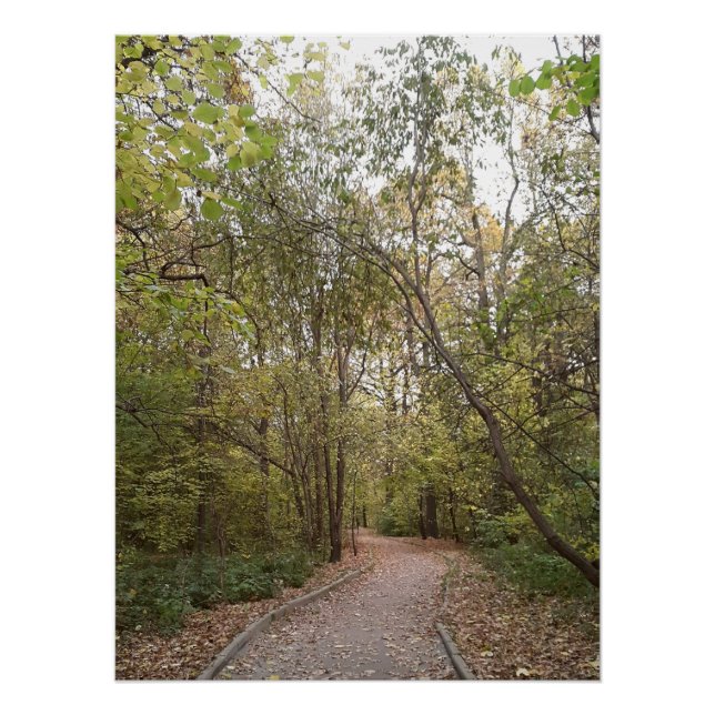Póster Caminho Florestal de Outono Dourado (Frente)