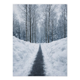 Póster Caminho Florestal Nebuloso de Inverno Poster de Pa