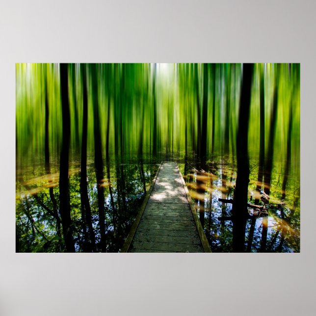 Poster Caminho Misterioso  (Frente)