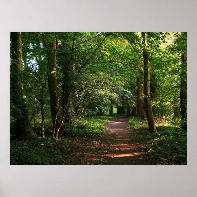 Póster Caminho na floresta (Frente)