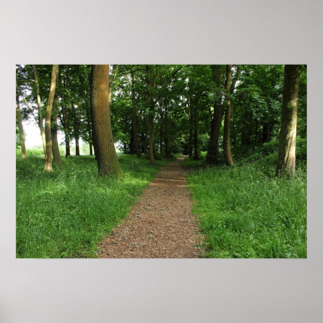 Póster Caminho nas Florestas, Parque de Bute, Cardiff (Frente)