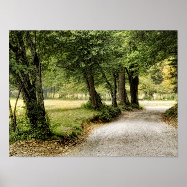 Póster Caminho no País (Frente)