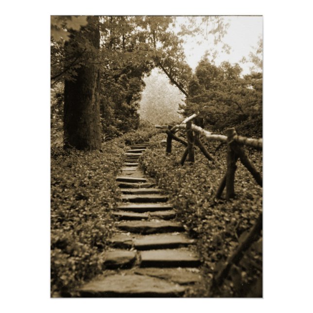 Póster Caminho para a Luz (Frente)