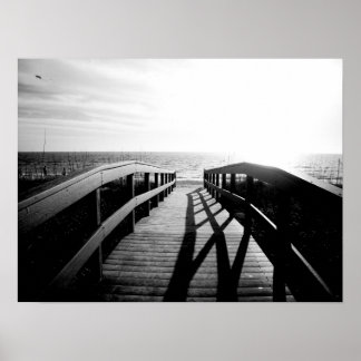 Póster Caminho para Pass-a-grille