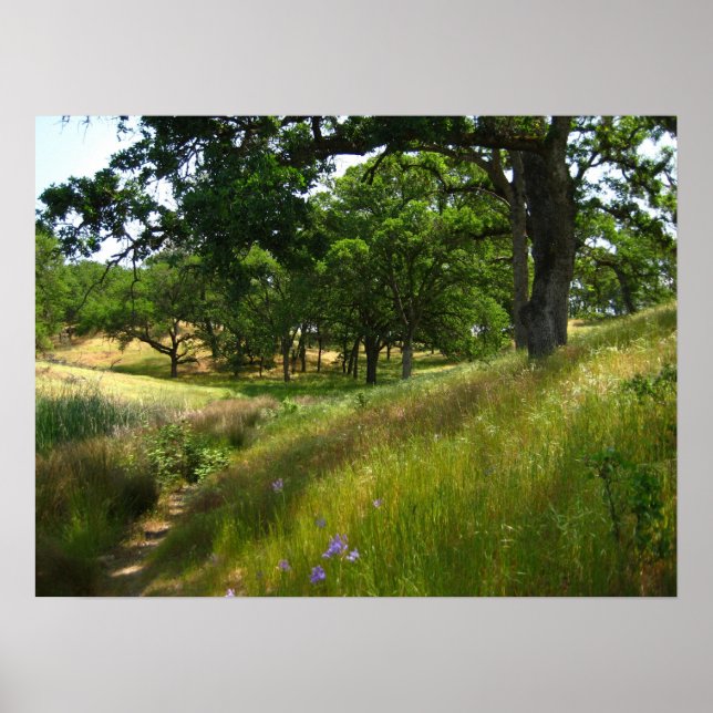 Poster "Caminho para Silêncio" (Frente)