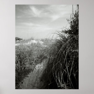 Poster Caminho pelas dunas
