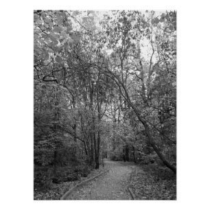 Póster Caminho Silencioso da Floresta de Outono – Edição