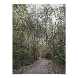 Póster Caminho Silencioso da Floresta de Outono – Edição