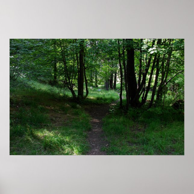 Poster Caminho Verde (Frente)