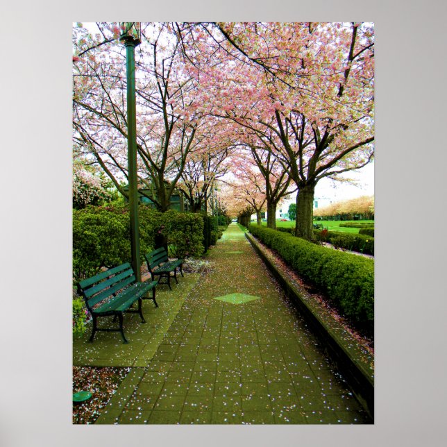 Poster Caminho Verde (Frente)