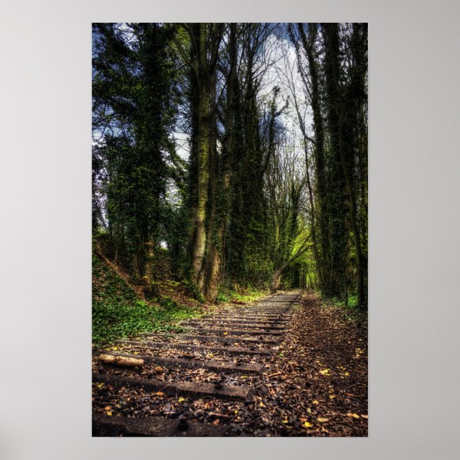 Poster Caminhos de Ferro Abandonados HDR (Frente)