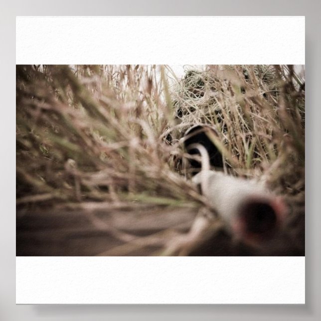 Póster camisa (Frente)