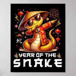 Poster Camisa De Ano Novo Chinesa Para Crianças Ano Do Sn