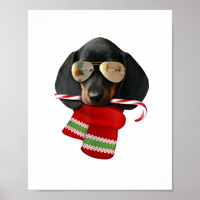 Poster Camisa de Dachshund Bonito presente de Natal Dog A (Frente)