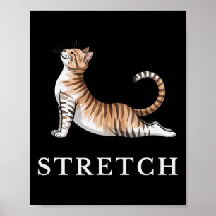 Poster Camisa de Yoga de Gato Elástico Calmo Lance Fofo I