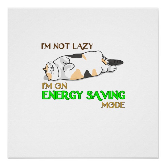 Póster Camisa engraçada de gato|Presente de gata |Present (Frente)