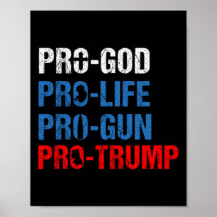 Poster Camisa Patriótica Pró Deus Pró Vida Pró Arma Pró T