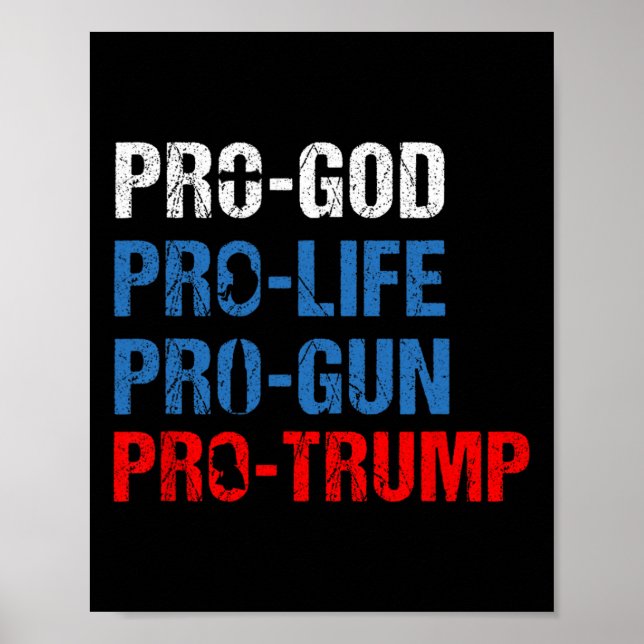 Poster Camisa Patriótica Pró Deus Pró Vida Pró Arma Pró T (Frente)