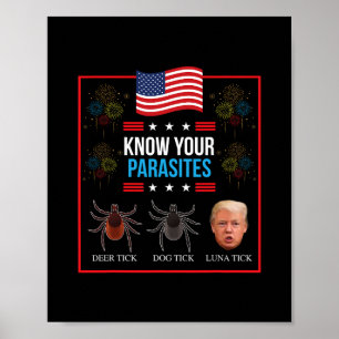 Poster Camisa T Fun Presidente Donald Trump Parasita Louc