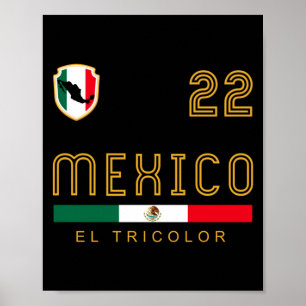 Poster Camisa Vintage México Futebol Bandeira Presente Fã