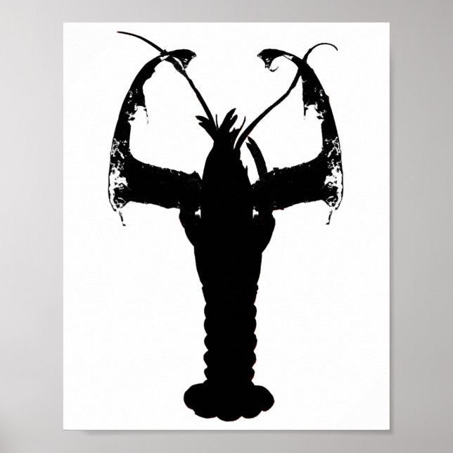 Poster Camisas de Lagosta do Cabo (Frente)
