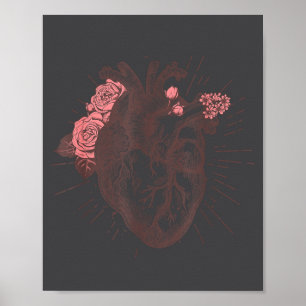 Poster Camiseta Anatomia do Coração Feminino Anatomia do