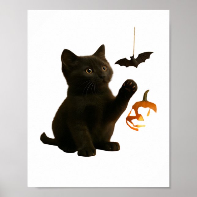 Poster Camiseta Clássica Sussura Hex & Lanterna Brilhante (Frente)