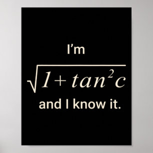 Poster Camiseta engraçada de punho de matemática – Eu sou