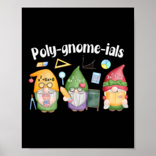 Poster Camiseta Gnomos Polinômios Professor de Matemática
