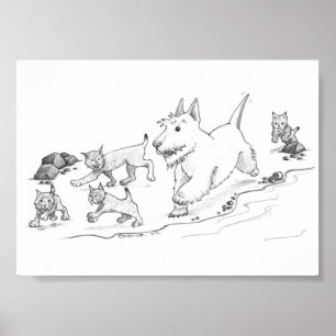 Poster Cammy e os Kittens
