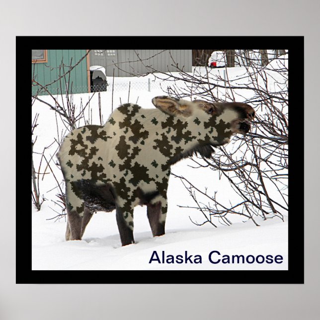 Poster Camouflage Moose (Frente)