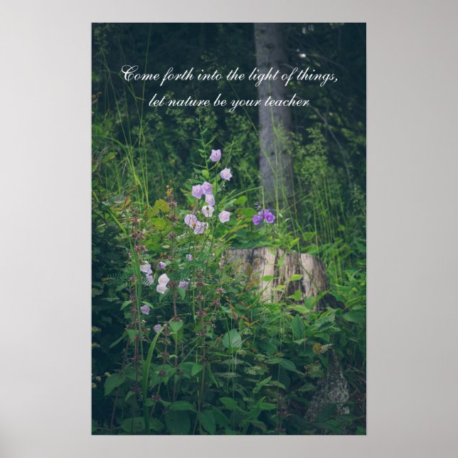 Poster Campainhas na floresta  (Frente)