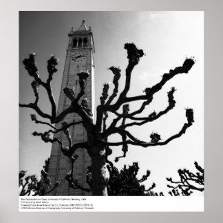 Póster Campanile da Plaza, UC Berkeley, 1964