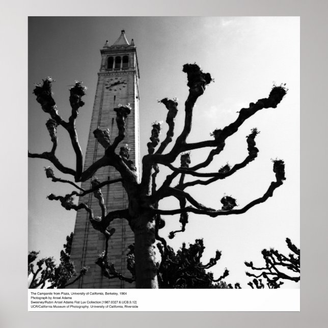 Póster Campanile da Plaza, UC Berkeley, 1964 (Frente)