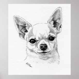 Póster Campeão da chihuahua de Smoothcoat