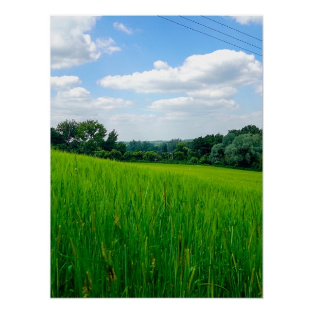 Póster Campestre lindo (Frente)
