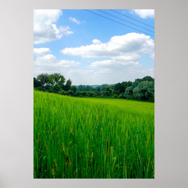 Poster Campestre lindo (Frente)