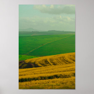 Poster Campo Canola, Paisagem Rural África do Sul