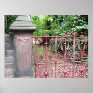 Póster Campo da morango