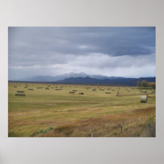 Poster Campo de Alto Vale